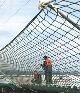 Plase Protectie Perimetrale la Acoperisuri Plane - Panou plasa bordat cu coarda pentru protectie perimetrala 2,5x10m - 100 x 100 mm - 2,5 x 10 m - Comanda
