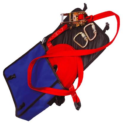 Linia vietii provizorie ( Lifeline temporar 20ml )