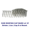 Cuie roofing cu cap larg pentru membrana bituminoasa ( cuie roofing )