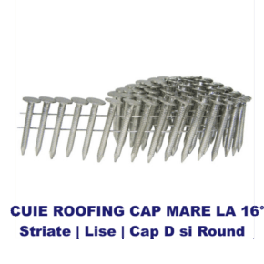 Cuie roofing cu cap larg pentru membrana bituminoasa ( cuie roofing )