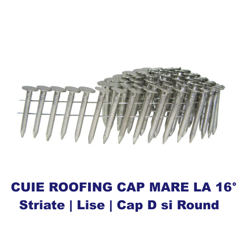 Cuie roofing cu cap larg pentru membrana bituminoasa ( cuie roofing )